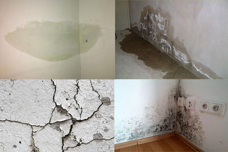 Hậu quả của thấm dột nếu không được xử lý kịp thời