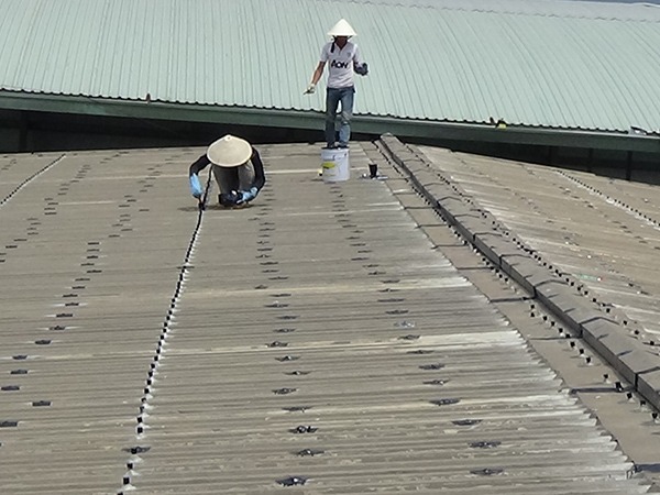 Thi công keo chống dột mái tôn chuyên nghiệp tại Hà Nội
