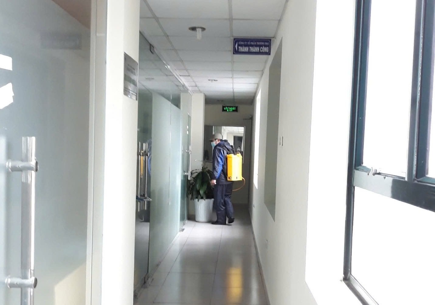 Dịch vụ diệt côn trùng tại Hà Nội