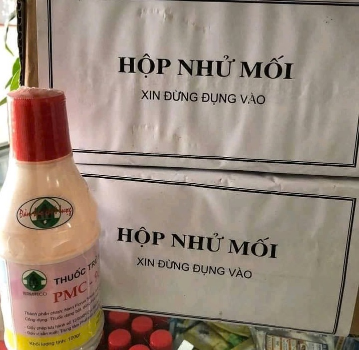 Dịch Vụ Diệt Mối Tận Gốc Tại Hà Nội
