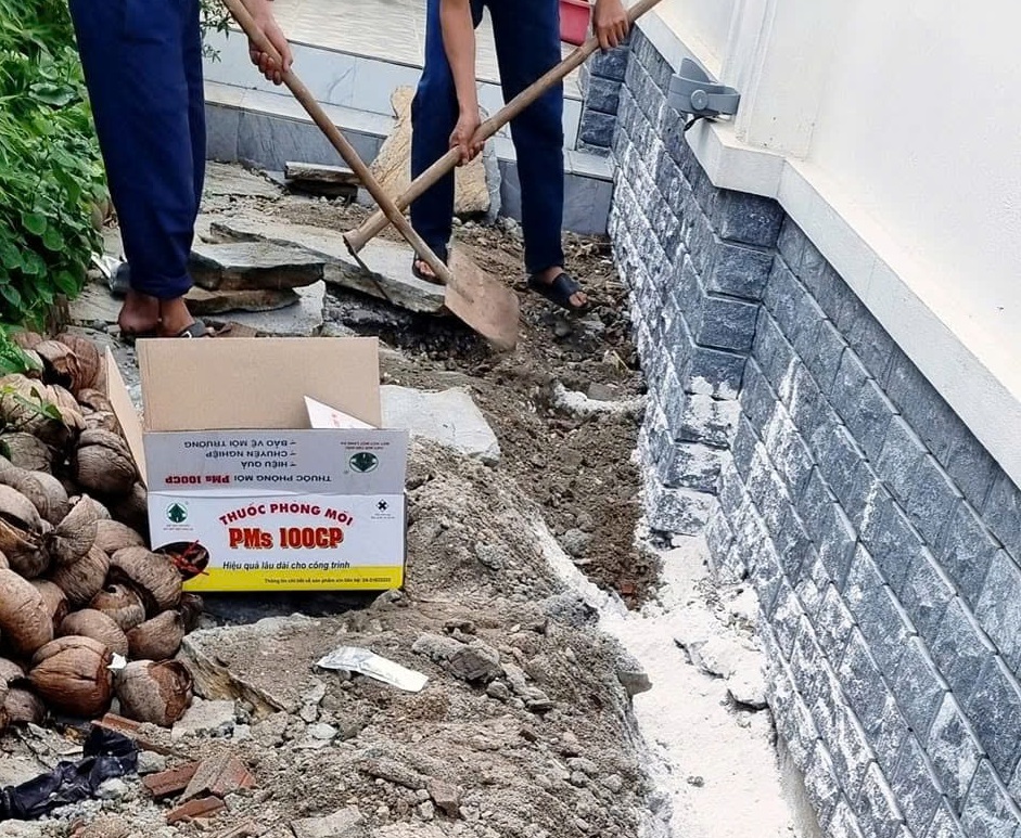 Dịch Vụ Diệt Mối Tận Gốc Tại Hà Nội