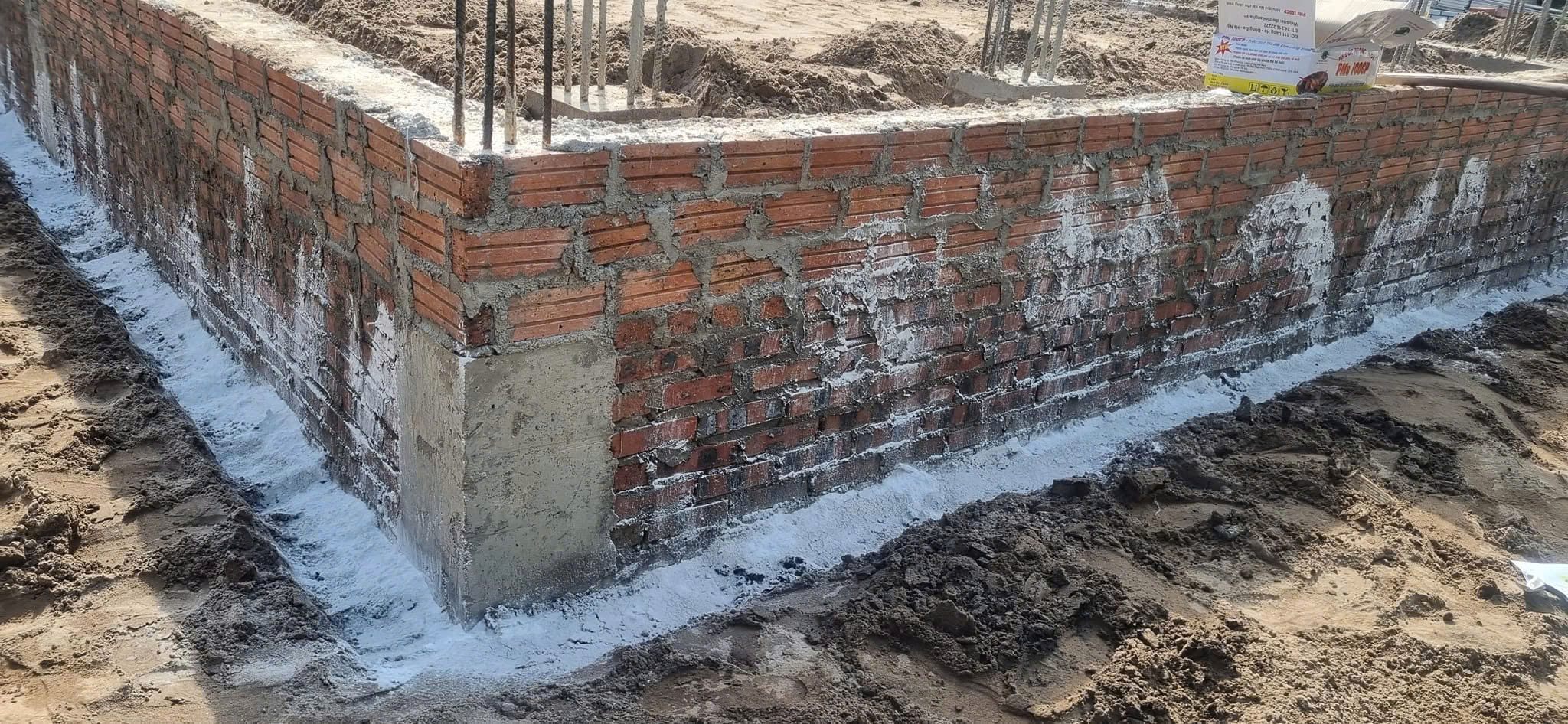 Dịch Vụ Diệt Mối Tận Gốc Tại Hà Nội