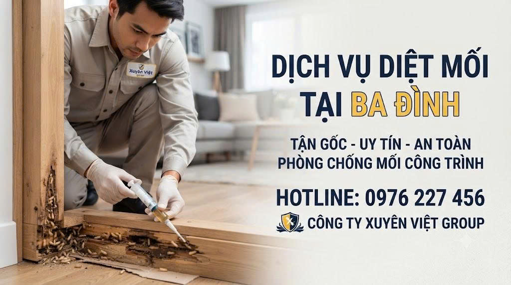 Dịch vụ diệt mối tại Ba Đình