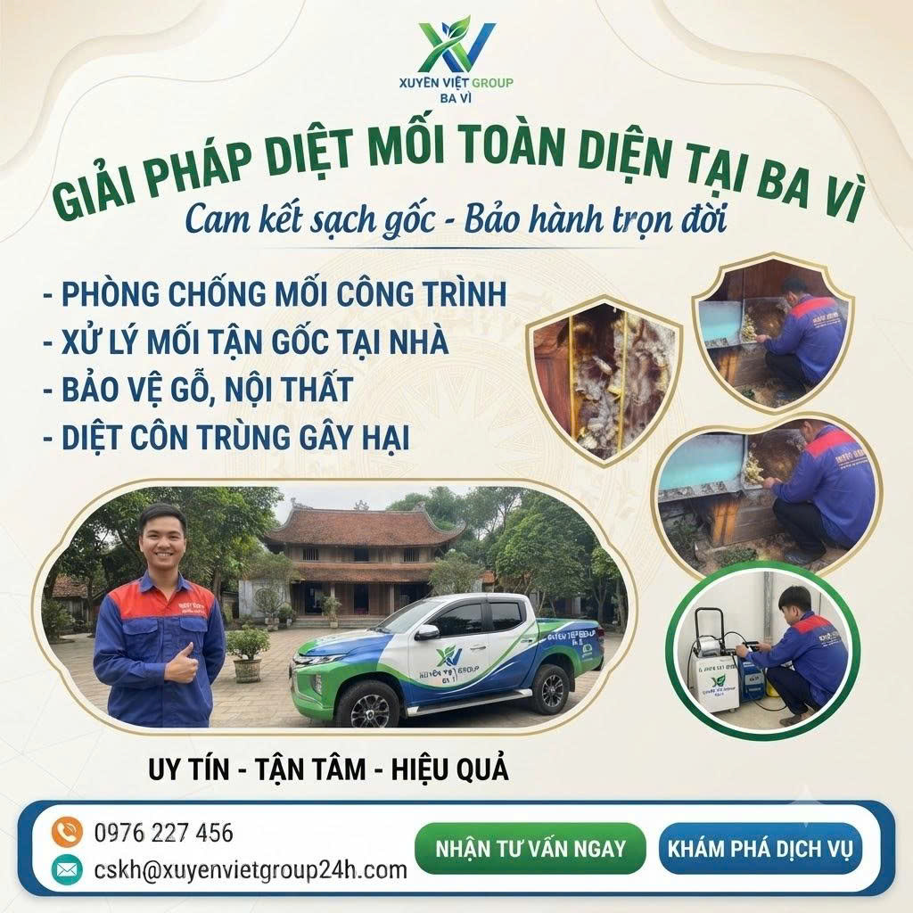 Dịch vụ diệt mối tại Ba Vì