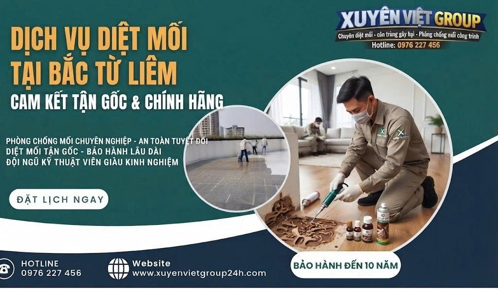 Dịch vụ diệt mối tại Bắc Từ Liêm