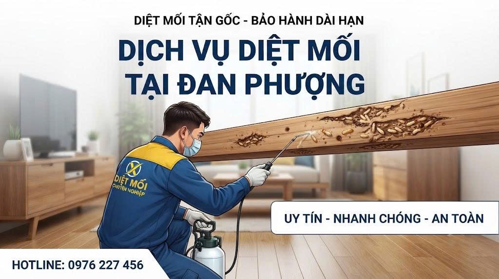 Dịch vụ diệt mối tại Đan Phượng
