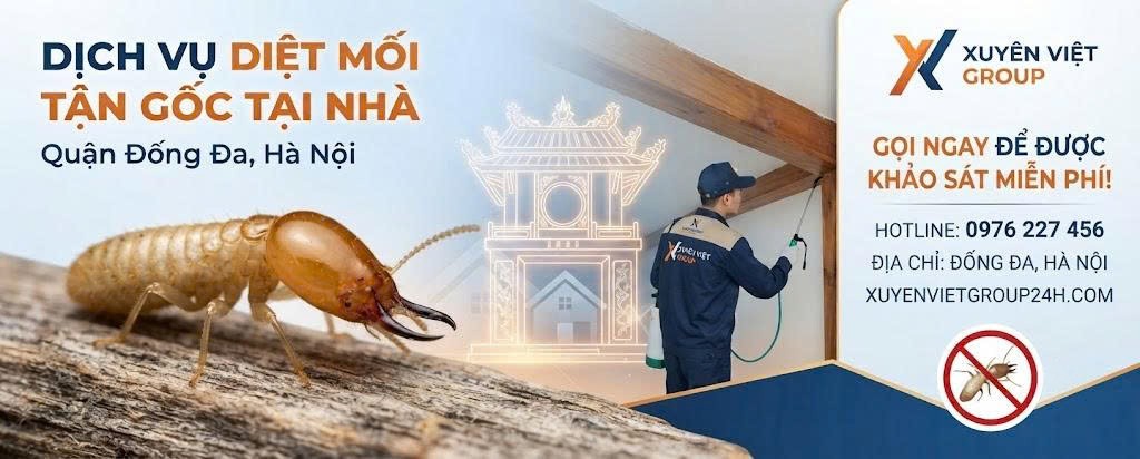 Dịch vụ diệt mối tại Đống Đa