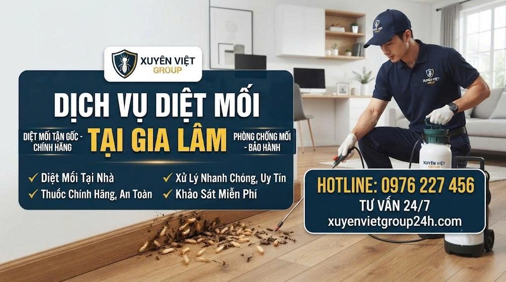 Dịch vụ diệt mối tại Gia Lâm