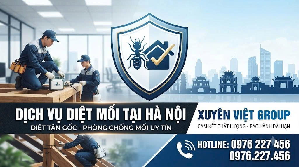 Dịch vụ diệt mối tại Hà Nội