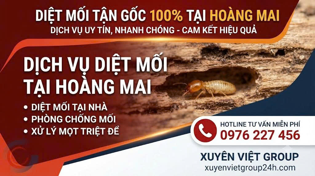 Dịch vụ diệt mối tại Hoàng Mai