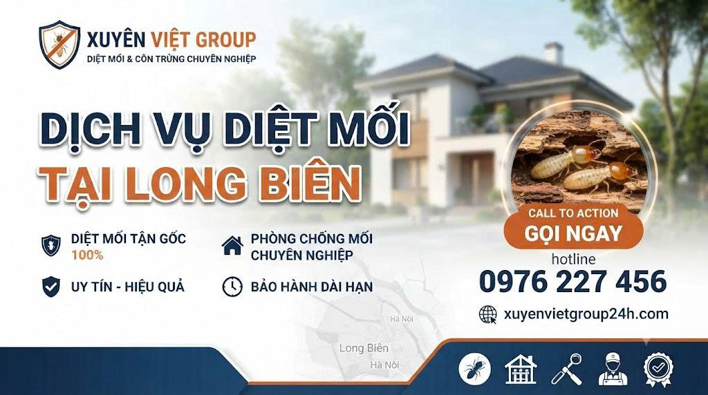 Dịch vụ diệt mối tại Long Biên