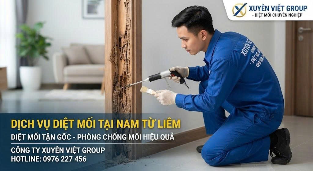 Dịch vụ diệt mối tại Nam Từ Liêm