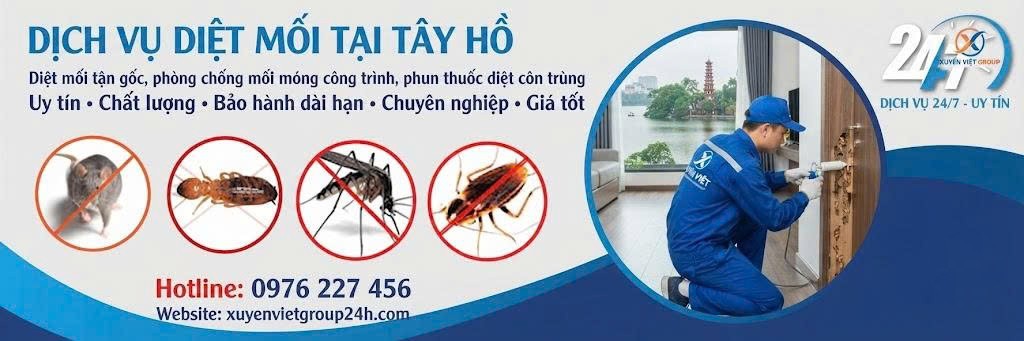 Dịch vụ diệt mối tại Tây Hồ