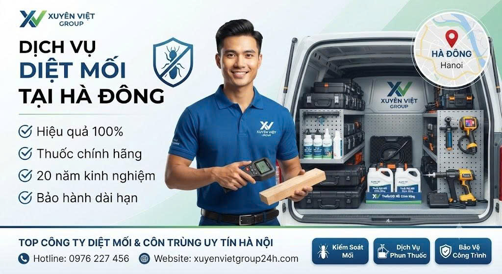 dịch vụ diệt mối tại Hà Đông