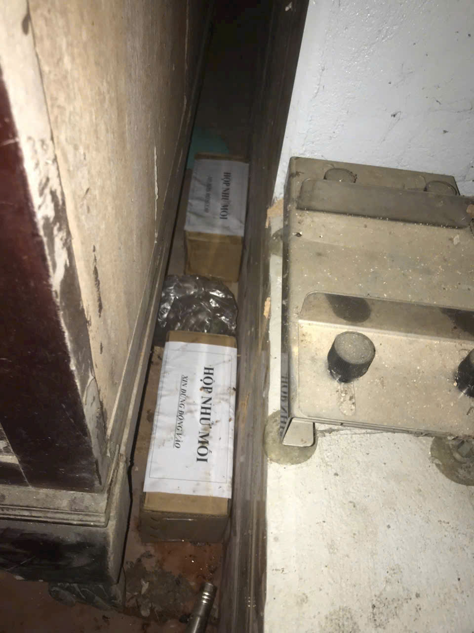 Quy trình đặt hộp nhử để diệt mối tận gốc