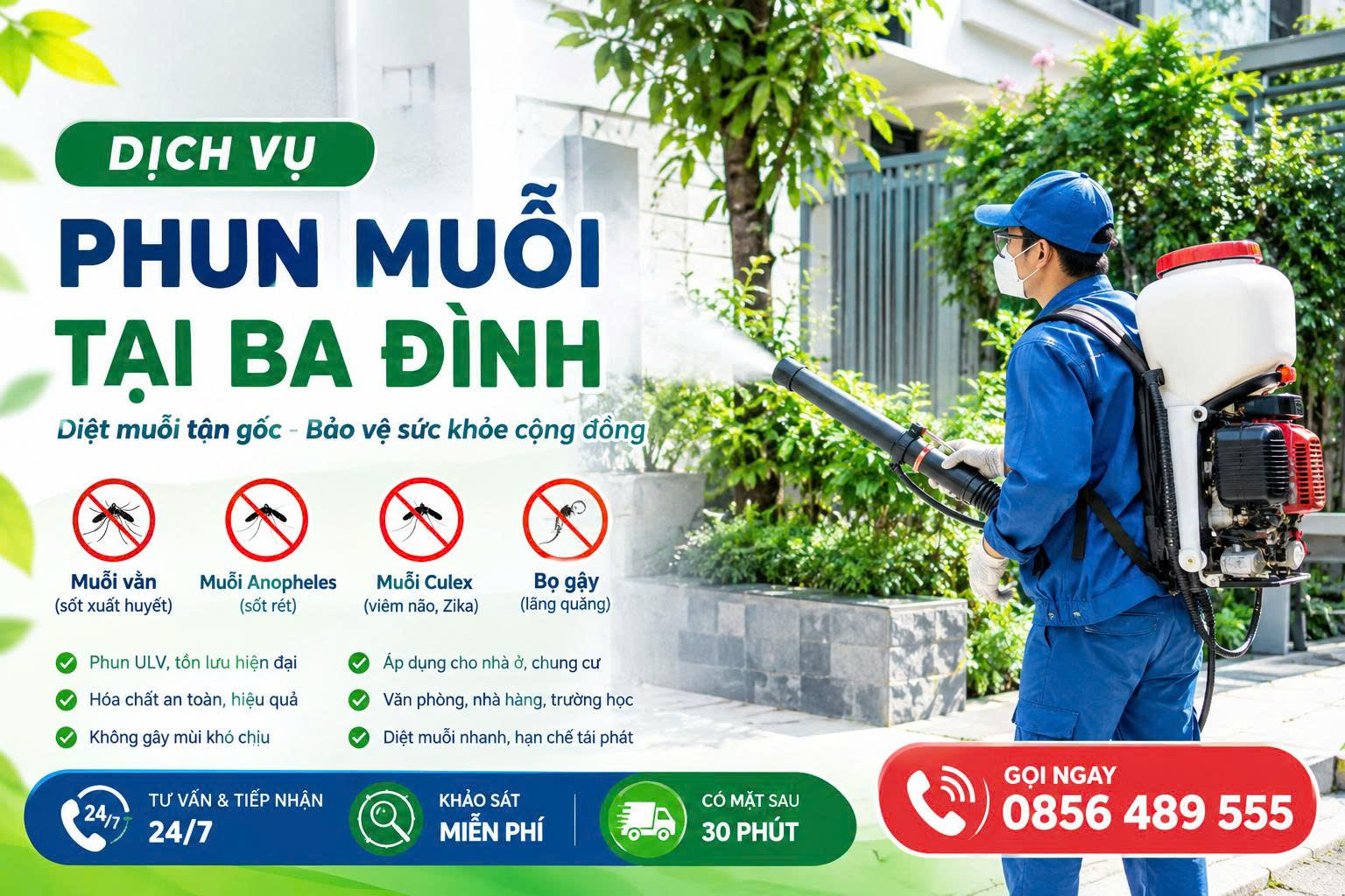 Dịch vụ phun muỗi tại Ba Đình
