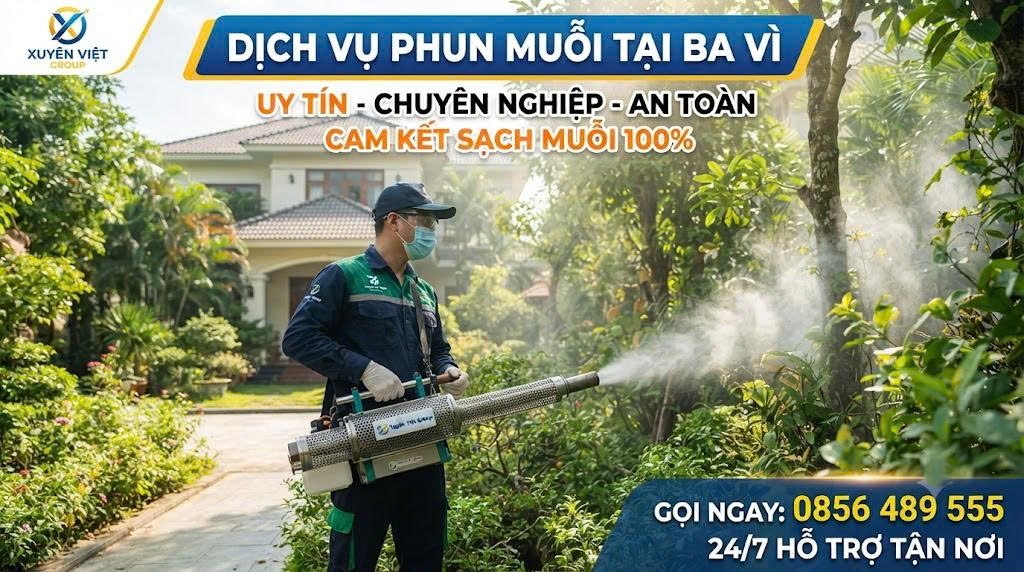 Dịch vụ phun muỗi tại Ba Vì