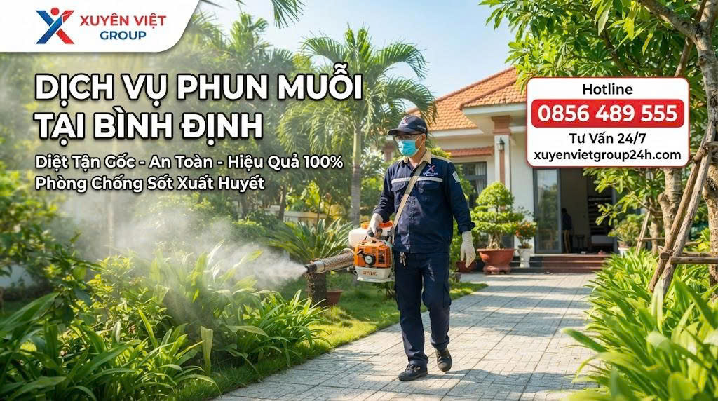 Dịch vụ phun muỗi tại Bình Định