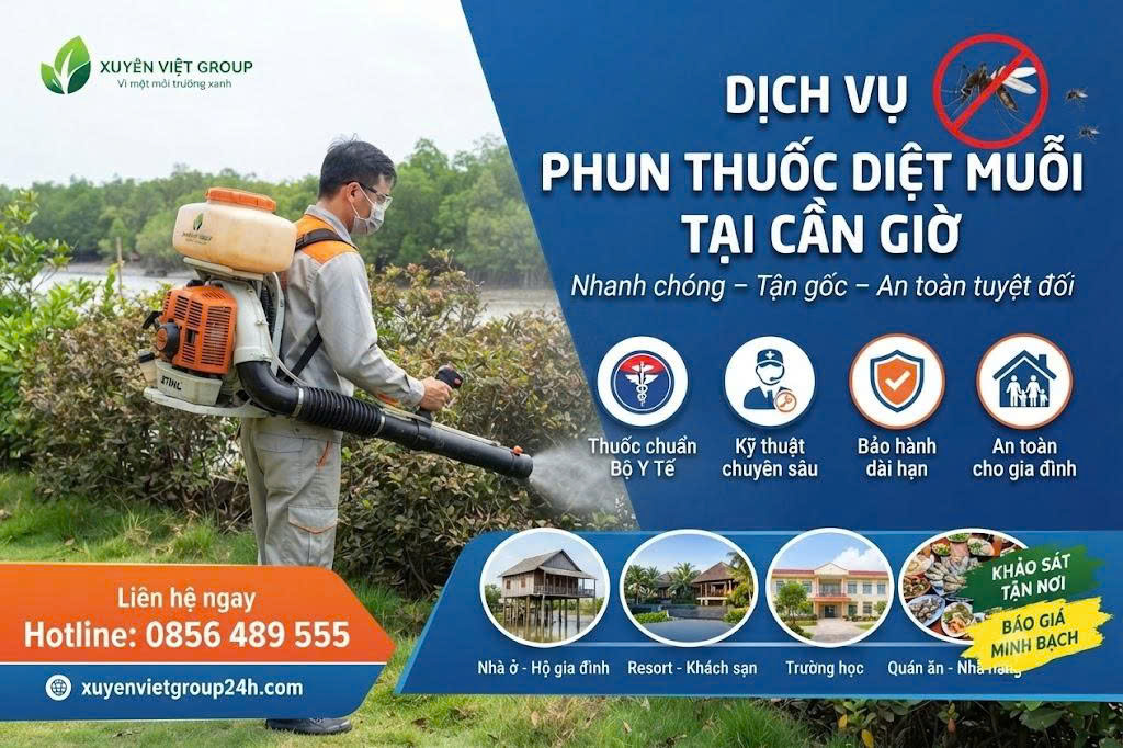Dịch vụ phun muỗi tại Cần Giờ