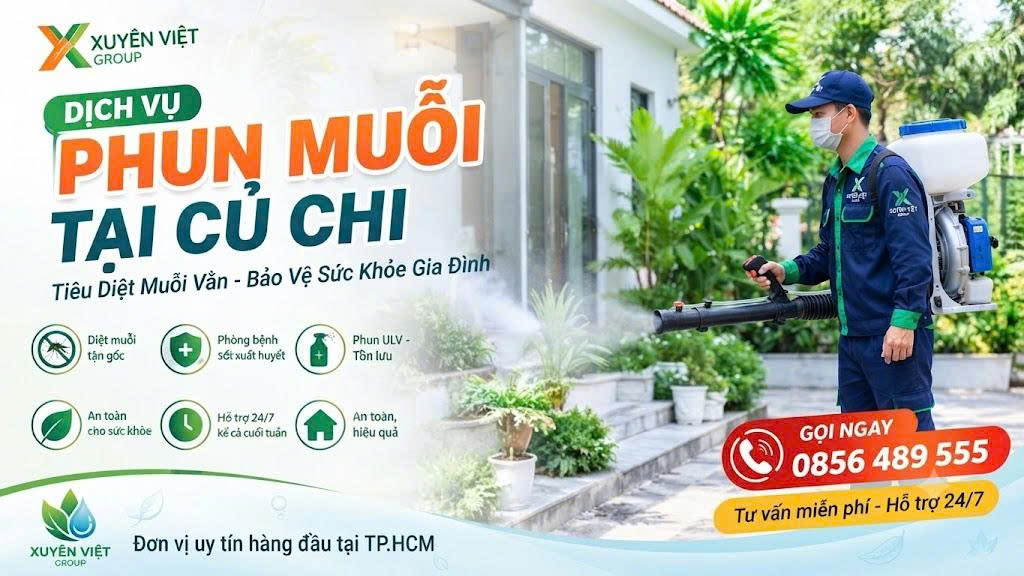 Dịch vụ phun muỗi tại Củ Chi