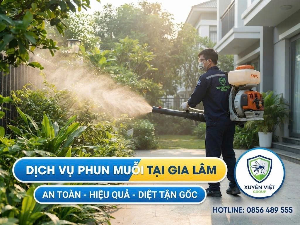 Dịch vụ phun muỗi tại Gia Lâm