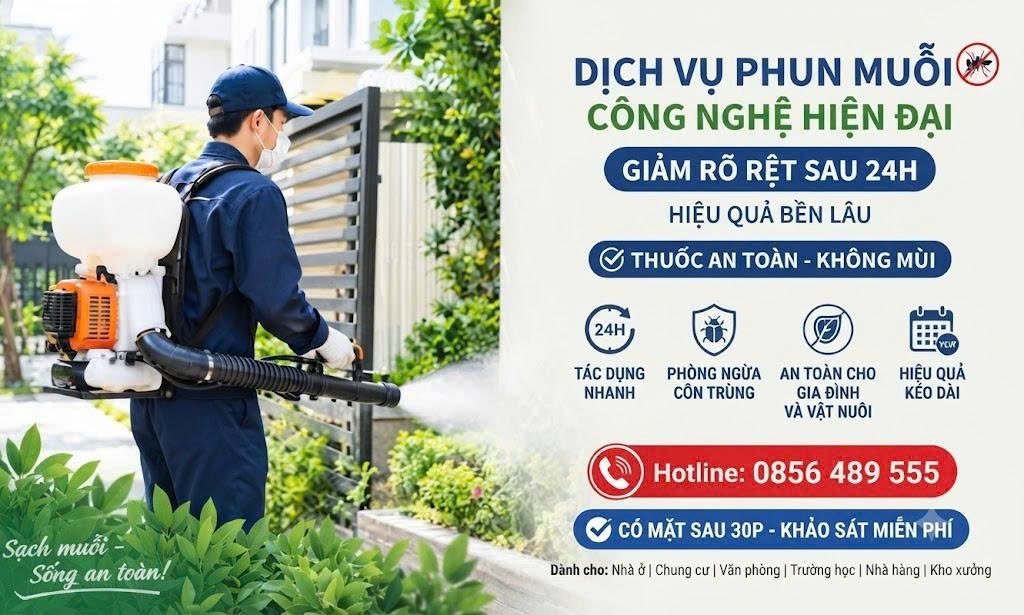 Dịch vụ phun muỗi tại Hà Đông