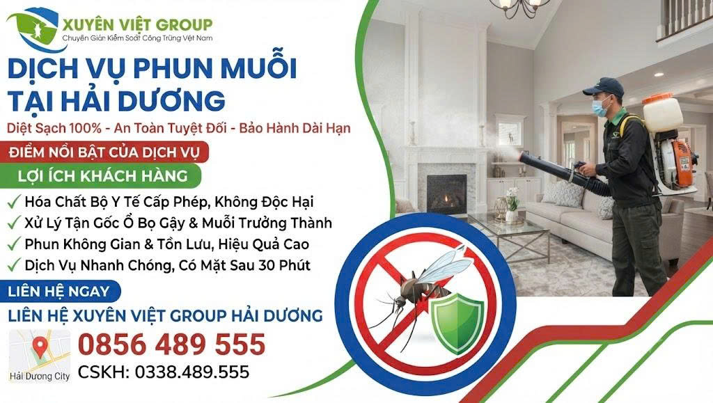 Dịch vụ phun muỗi tại Hải Dương