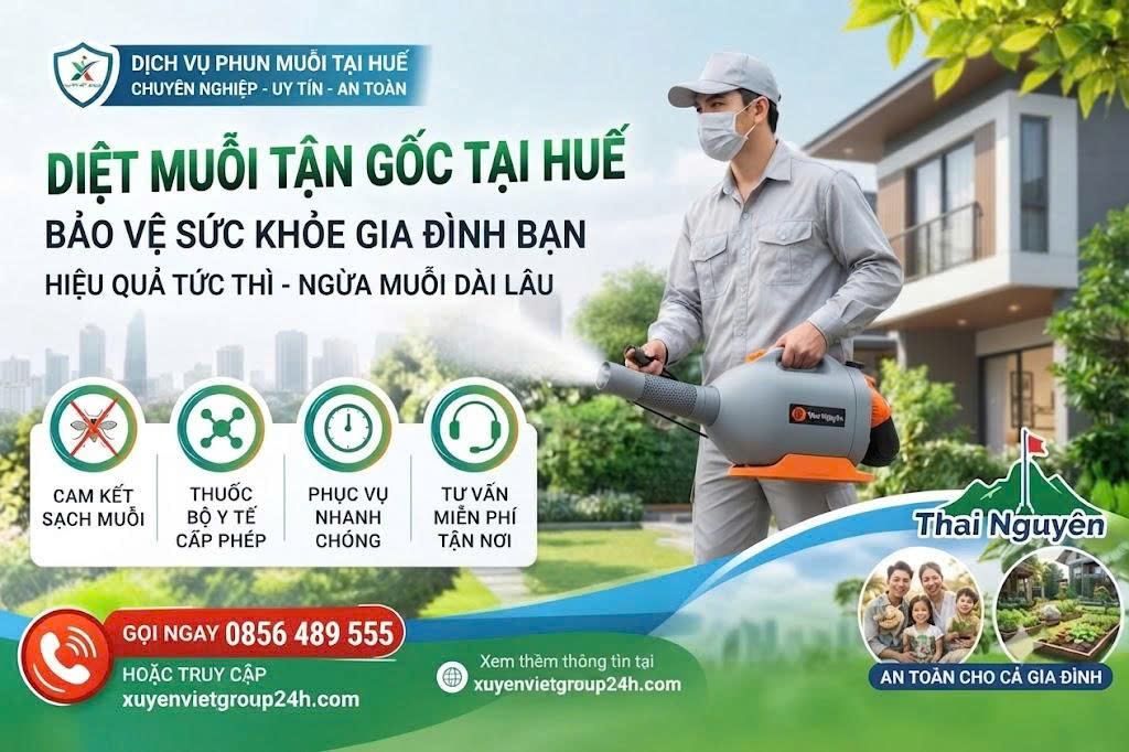 Dịch vụ phun muỗi tại Huế