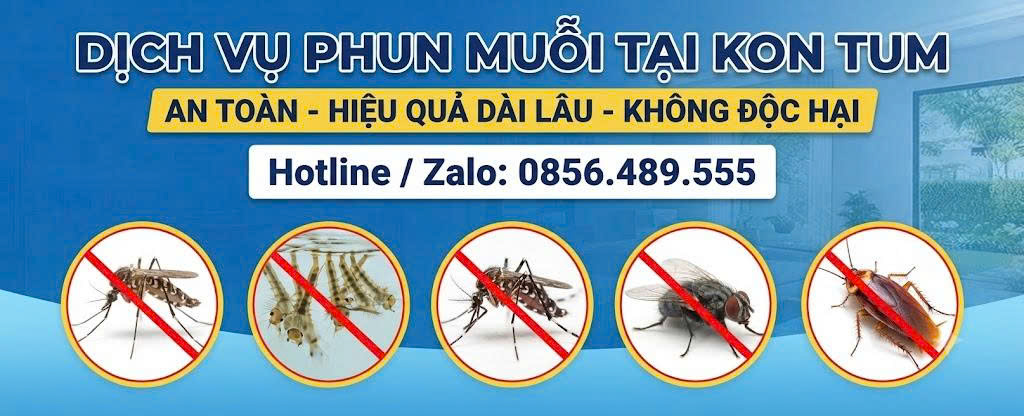 Dịch vụ phun muỗi tại Kon Tum