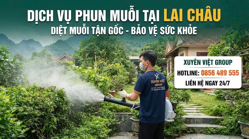 Dịch vụ phun muỗi tại Lai Châu