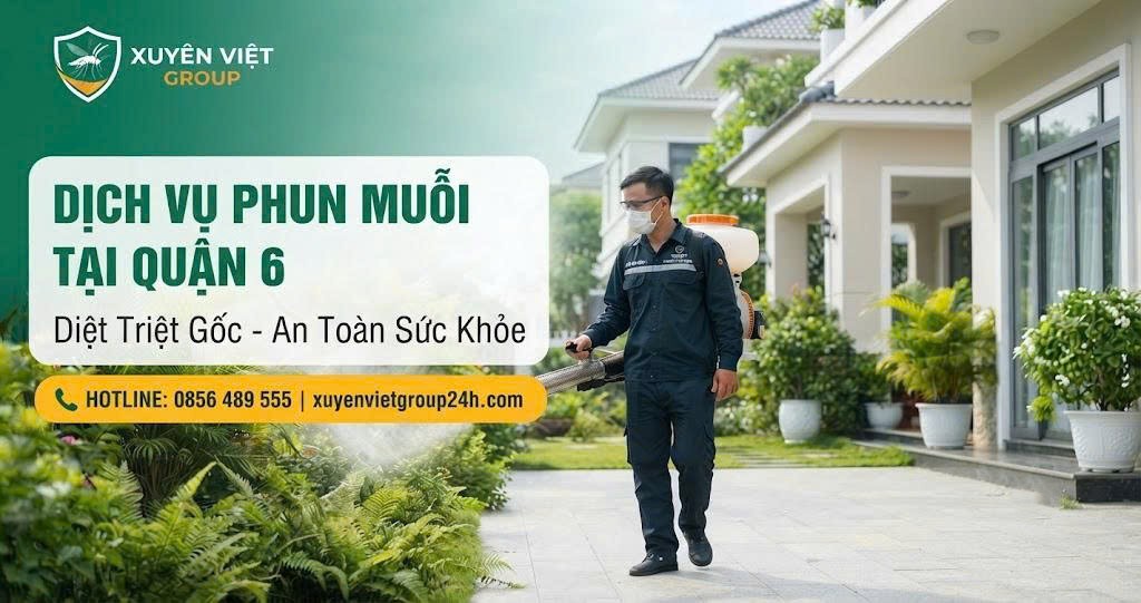 Dịch vụ phun muỗi tại Quận 6