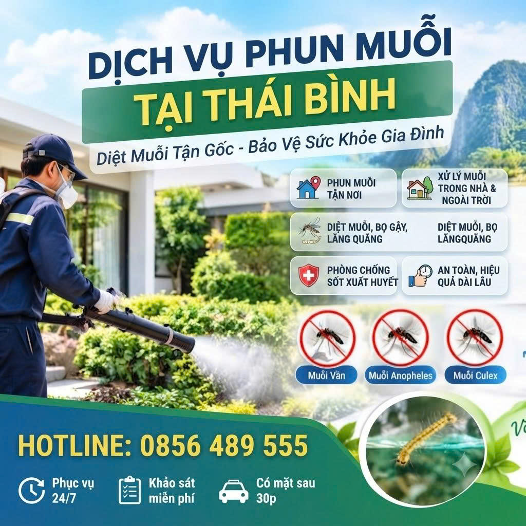 Dịch vụ phun muỗi tại Thái Bình