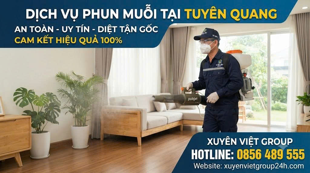 Dịch vụ phun muỗi tại Tuyên Quang