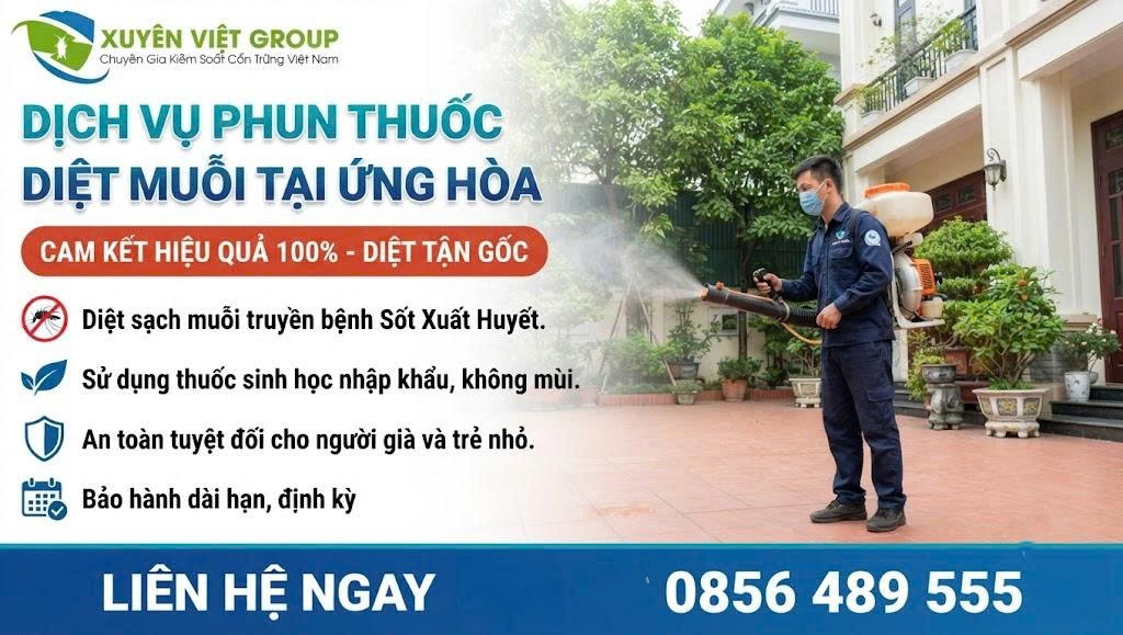Dịch vụ phun muỗi tại Ứng Hòa