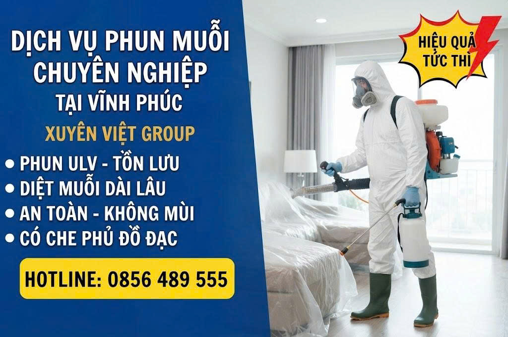Dịch vụ phun muỗi tại Vĩnh Phúc
