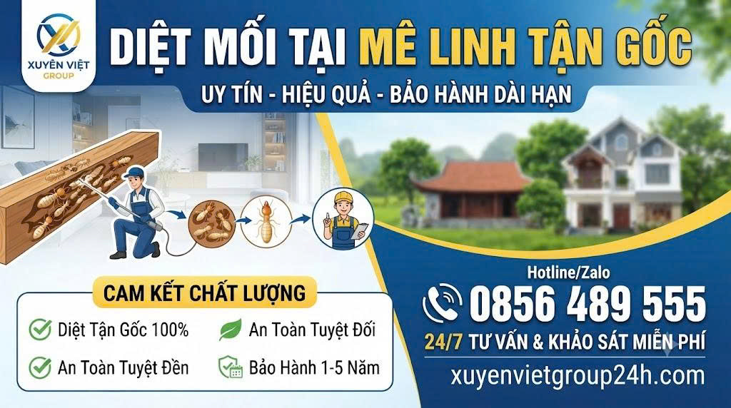 dịch vụ diệt mối tại mê linh