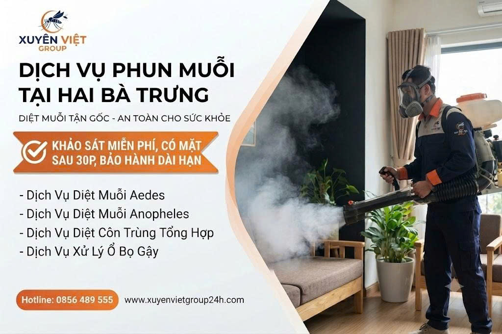 dịch vụ phun muỗi tại Hai Bà Trưng