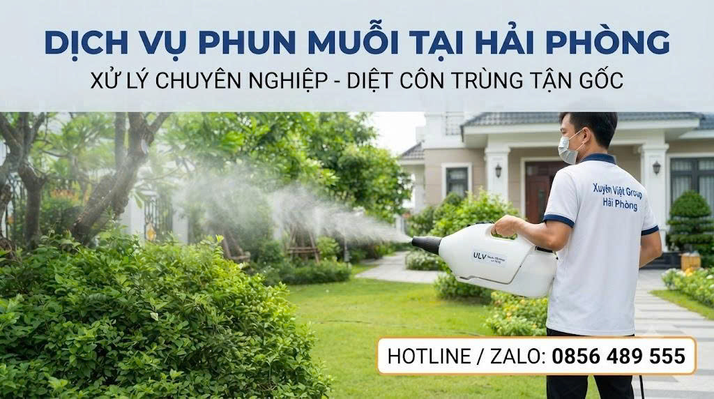 dịch vụ phun muỗi tại Hải Phòng
