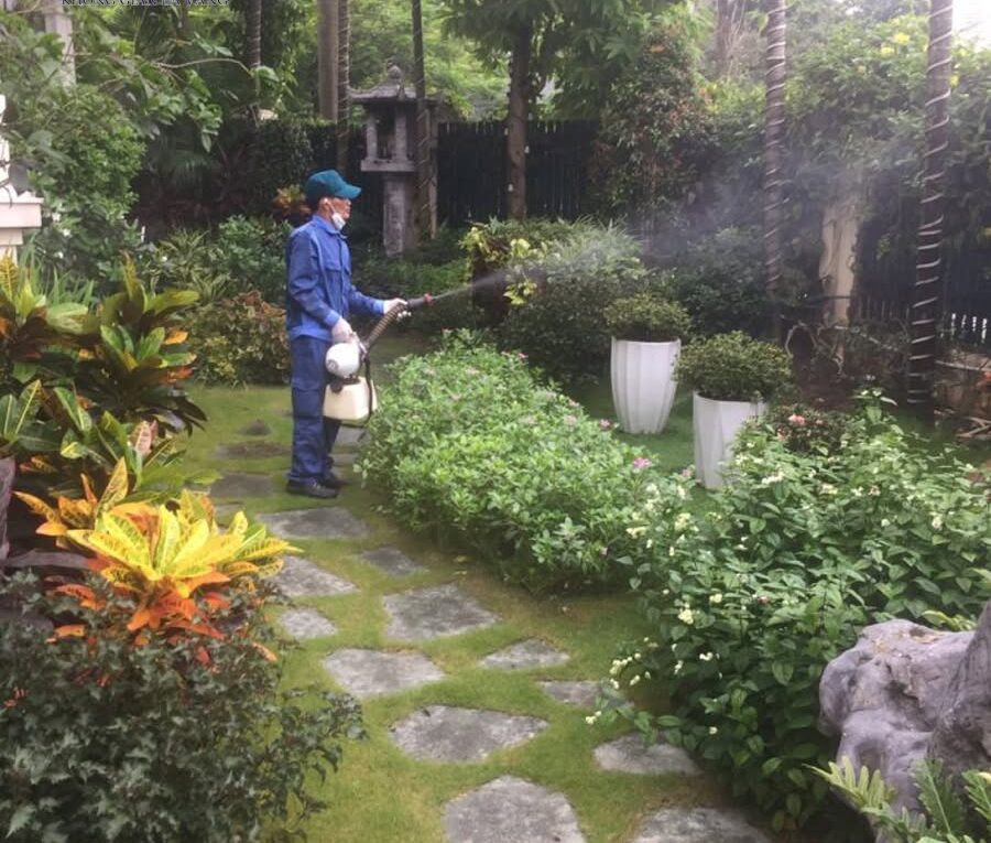 Phun muỗi ngoài trời cho khu vực sân vườn tại Nghệ An