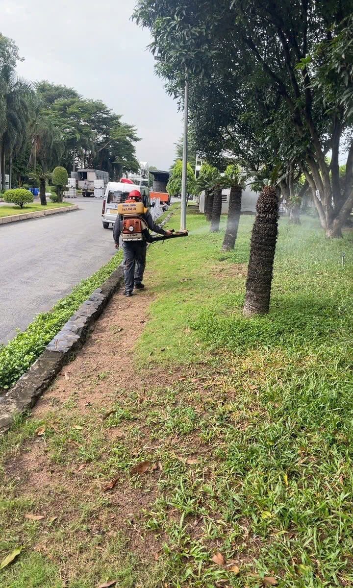 Phun muỗi ngoài trời tại Quảng Ninh